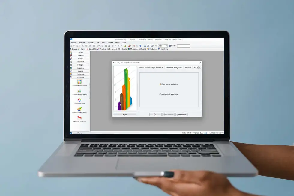 Software gestionale per aziende GeminiXP.net: schermata statistiche e contabilità